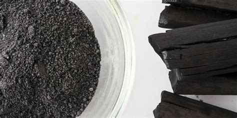 Activated Charcoal For Dogs – Facts, Benefits [2025 Guide]