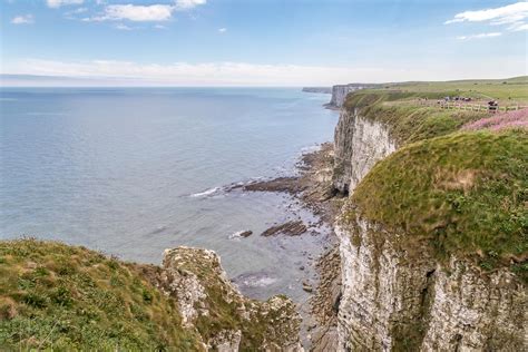 Bempton Cliffs walk - Bempton RSPB walk - puffins East Yorkshire