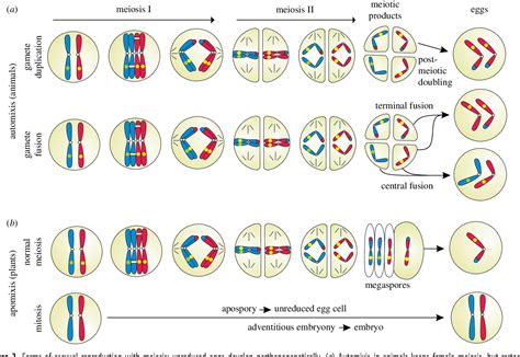 Figure From The Evolution Of Meiotic Sex And Its Alternatives