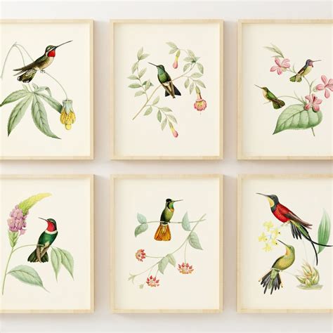 Hummingbird Wall Art - Etsy