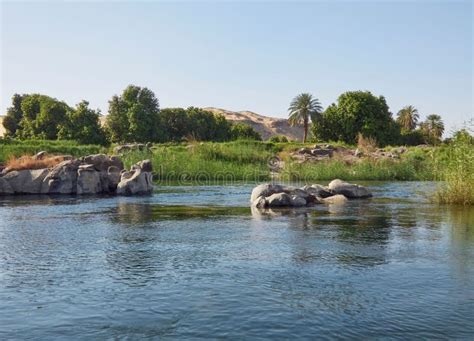 Nile River In The Desert Surrounded By Palm Trees And Green Grass In