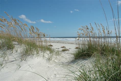 Sandy Beach Free Stock Photo - Public Domain Pictures