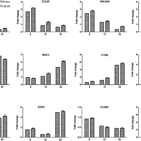 Validation Of The Rna Seq Results By Quantitative Real Time Pcr