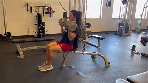 Seated Db Curl Youtube