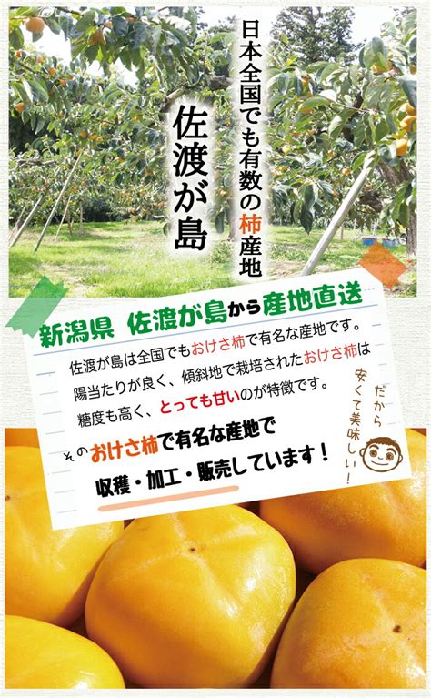 【楽天市場】【贈答】佐渡産おけさ柿 さわし柿（渋抜き済）秀2lサイズ32玉 佐渡が島の特産品 八珍柿刃根早生柿平核無柿 種なし ビタミン豊富