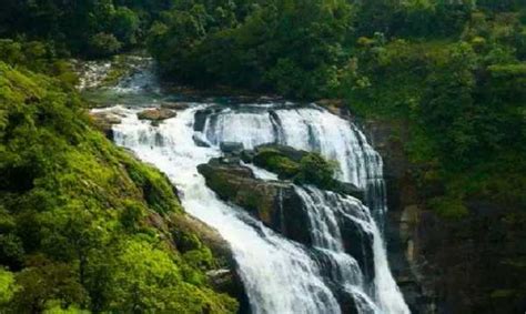 Things To Do In Coorg Places To Visit In Coorg For Families With Kids