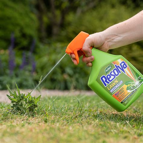 How to Sow a New Lawn | Lawn Advice | Westland Garden Health