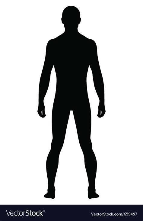 Naked Standing Man Royalty Free Vector Image Vectorstock