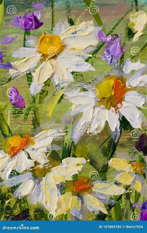 La Peinture Des Marguerites Blanches Fleurit De Belles Fleurs De Champ