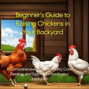 Beginners Guide To Raising Chickens In Your Backyard A Comprehensive