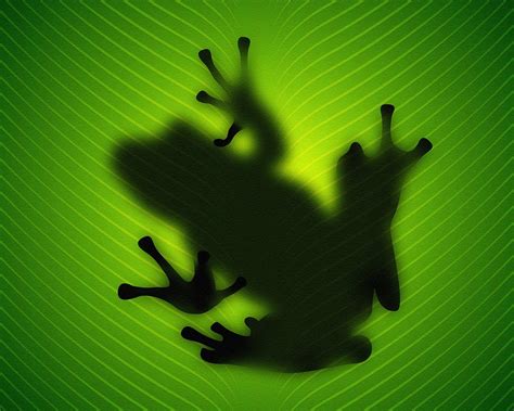 Frog Silhouette Behind-High Quality HD Wallpaper Preview | 10wallpaper.com