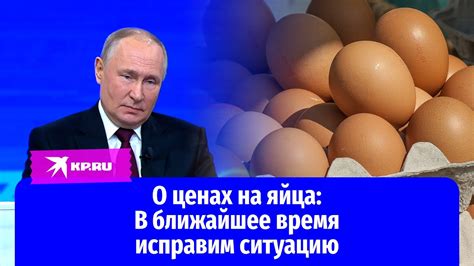 Владимир Путин о ценах на яйца: В ближайшее время исправим ситуацию ...