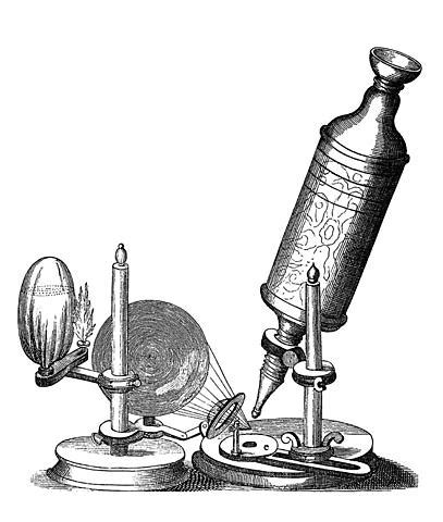 Histoire du microscope et fondements de la théorie cellulaire BERGON