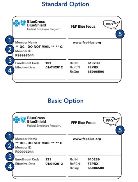 Blue Cross Blue Shield Card