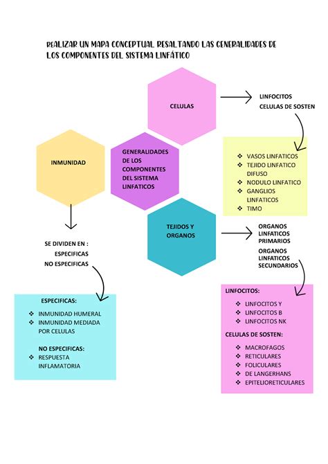 Mapa Conceptual Histologia Histolog A Studocu The Best Porn Website