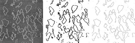 Fig1. Example of a skeletonization process. (a) atomic force image of a ...