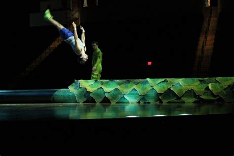 Cirque Du Soleil's 'OVO' Brings 'Bugs' — And An Inclusive Message — To Boston | The ARTery