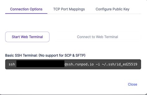 Missing Port Buttons And Unable To Start Web Terminal On Ultimate