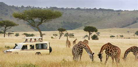 Safari Na Tanzania