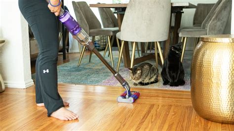 Best Eureka vacuum