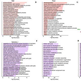 Expression Patterns Of Core Genes In Abiotic Stresses And Multiple