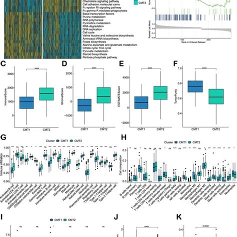 Bioenrichment Immune Cell Infiltration And Immunotherapy Efficacy