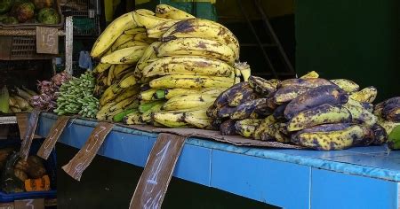 Cae La Producci N De Alimentos En Cuba