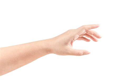 hand synonyms collins english thesaurus