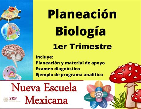 Planeaci N Biolog A Nem Nueva Escuela Mexicana Er Trimestre