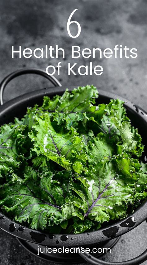 Discover The Amazing Health Benefits Of Kale