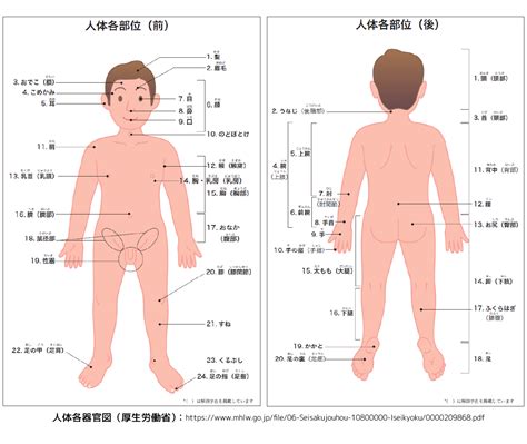 語01-【完全版】用語マスター「体の部位」介護記録など便利に活用してね | 合同会社延西