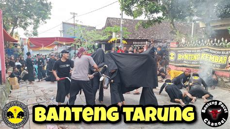 Banteng Kembar Live Made Pacet Bantengan YouTube