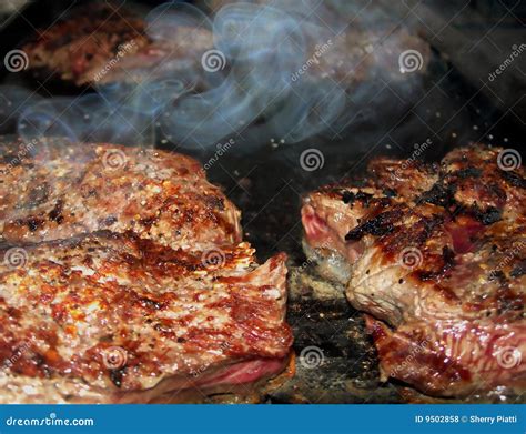 Smokey Grill Barbecue Stock Photo Image Of Sizzle Shank 9502858