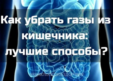 Как убрать газы из кишечника: лучшие способы? | Здоровое питание