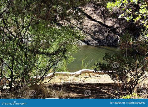 Lynx Lake Bradshaw Ranger District Prescott National Forest State Of