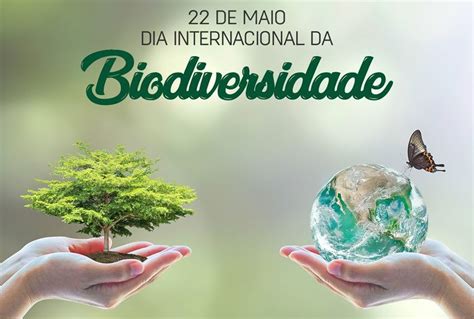 Por Que A Biodiversidade É Importante - Por Que A Biodiversidade é Importante - FDPLEARN