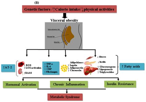 Diabetology Free Full Text Progress In Understanding Metabolic