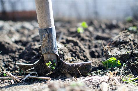 Building A Self Watering Raised Planter Bed