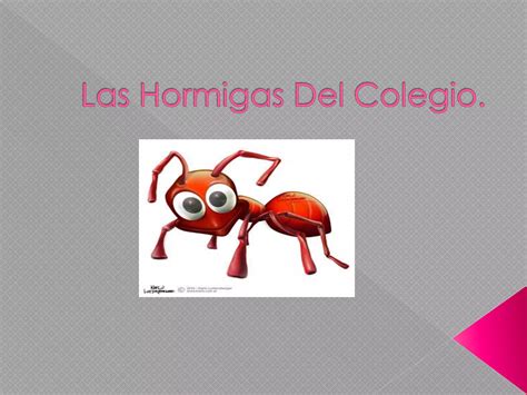 Las Hormigas Del Colegio Ppt Descarga Gratuita