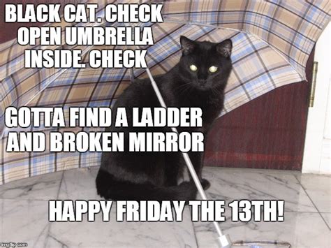 Black Cat Bad Luck Meme Vactrone