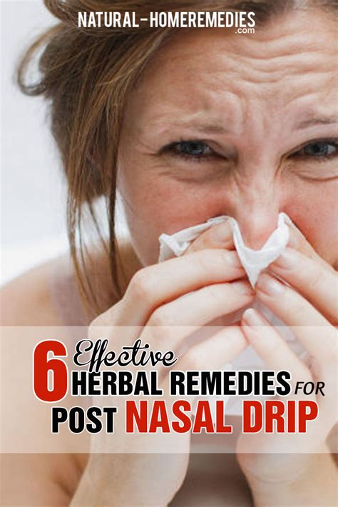 6 Effective Herbal Remedies For Post Nasal Drip – Natural Home Remedies ...