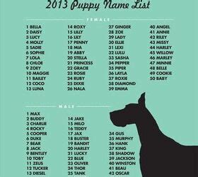 famous dogs names female
