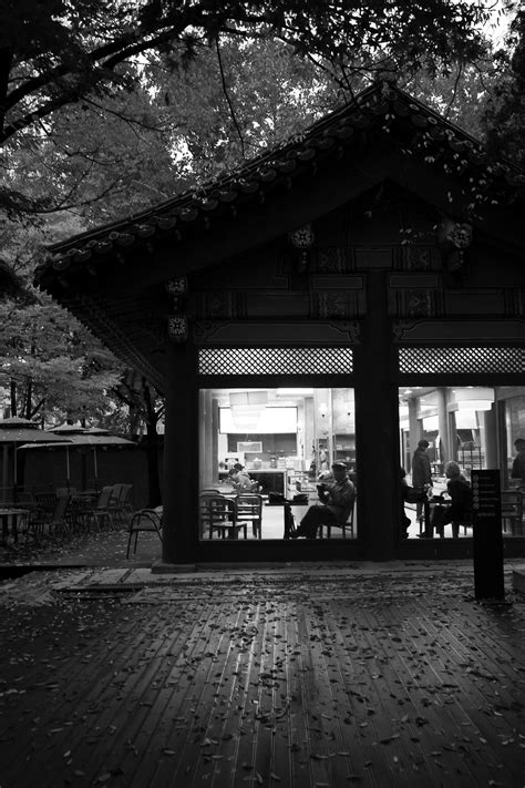 Things About South Korea ♡ 대한민국 ♡ | South korea photography, Korea