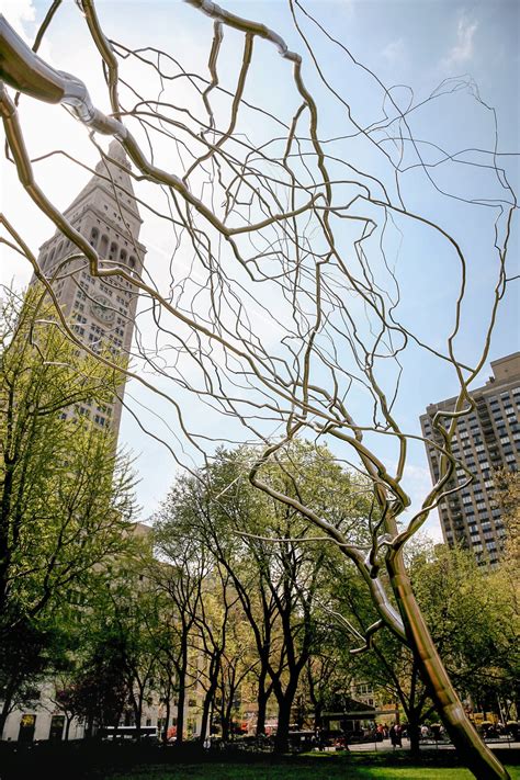 Future archival projects will digitize all demoney and grimes obituaries 13