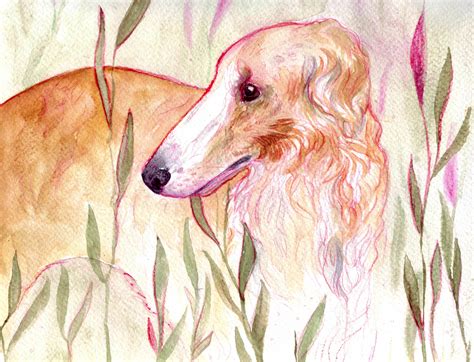 Borzoi By Mellinae On Deviantart