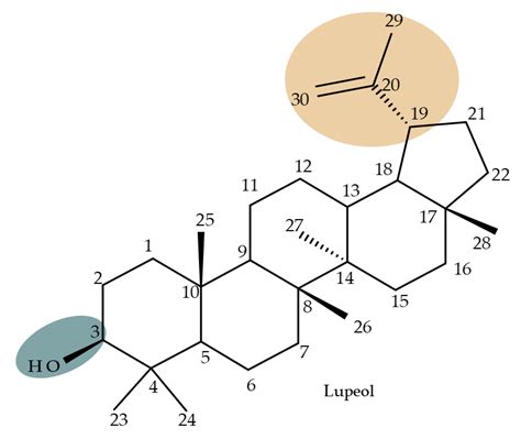 Triterpenoid Structure