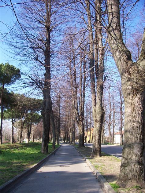 Le Piagge Pisa Viale Delle Piagge Zona Residenziale Quell Flickr