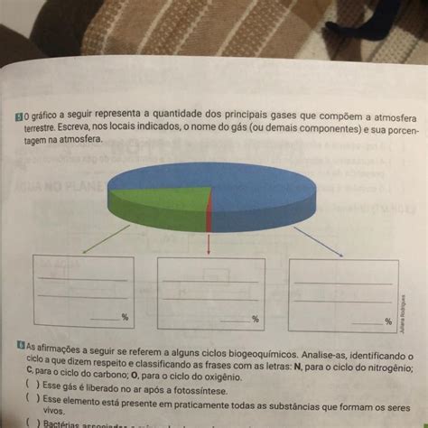 5 O Gráfico A Seguir Representa A Quantidade Dos Principais Gases Que Compõem A Atmosfera