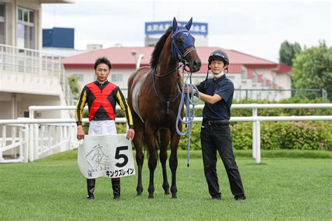 キングズレイン鼻差制し初v 母父はディープインパクト、単勝1・2倍の人気に応える／札幌1r 2歳馬特集 競馬写真ニュース 日刊スポーツ