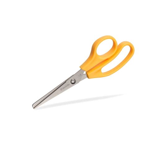 Scissors Supersnip S/B sterile